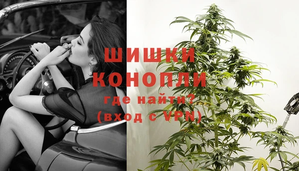 шишки Новодвинск