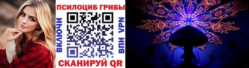 ОМГ ОМГ ссылка  купить наркотик  Пугачёв  Галлюциногенные грибы Psilocybe 